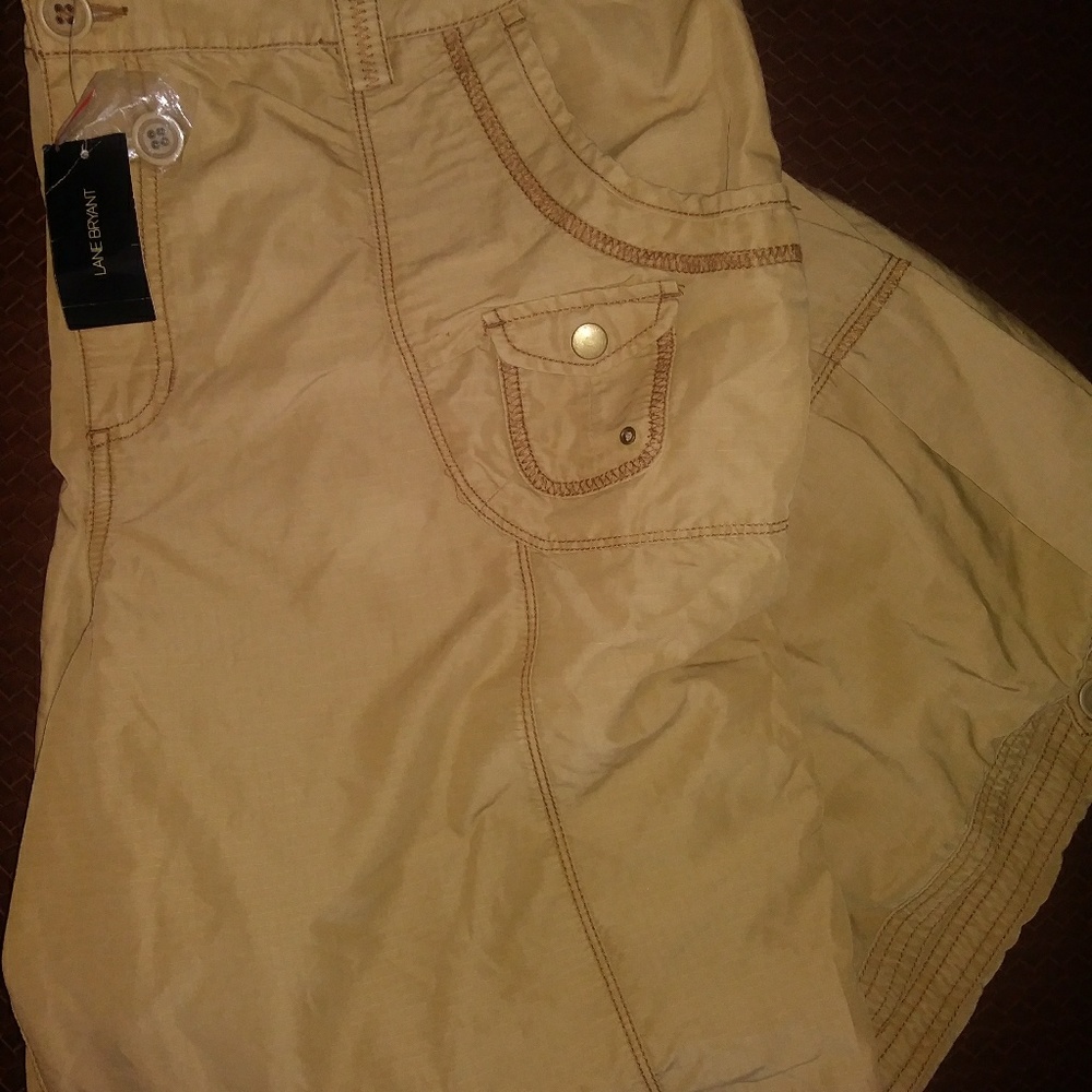 Lane Bryant pants